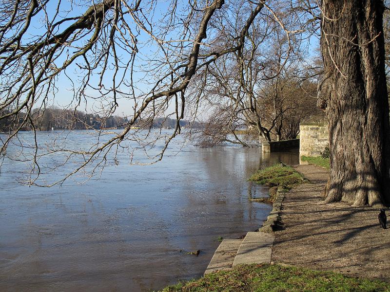 2011-01-17, Hochwasser (14).JPG